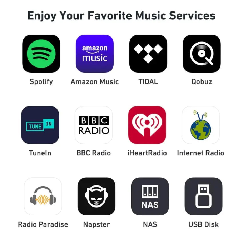 Transmissor de música WiFi Arylic S10+