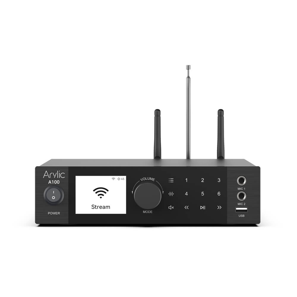 Arylic A100 100W x 2 Power amplifier with FM