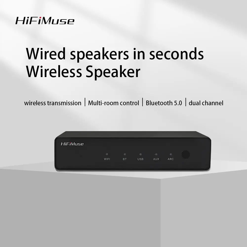 Transmissor de música Wi-Fi HiFiMuse R20