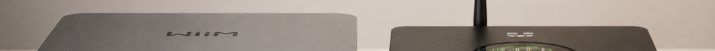 WiiM Ultra with external DAC for RoomFit and Hi-Fi setup