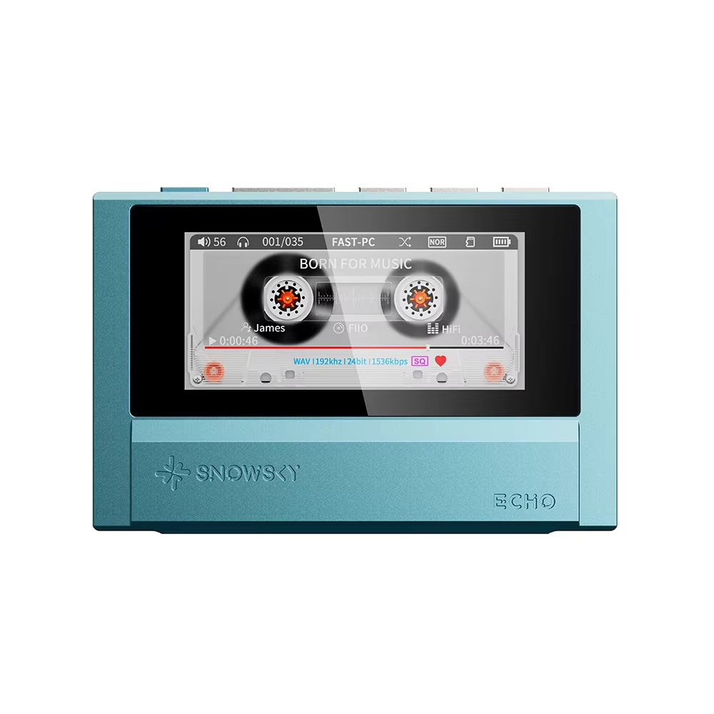 FiiO ECHO MINI unsupported format troubleshooting guide