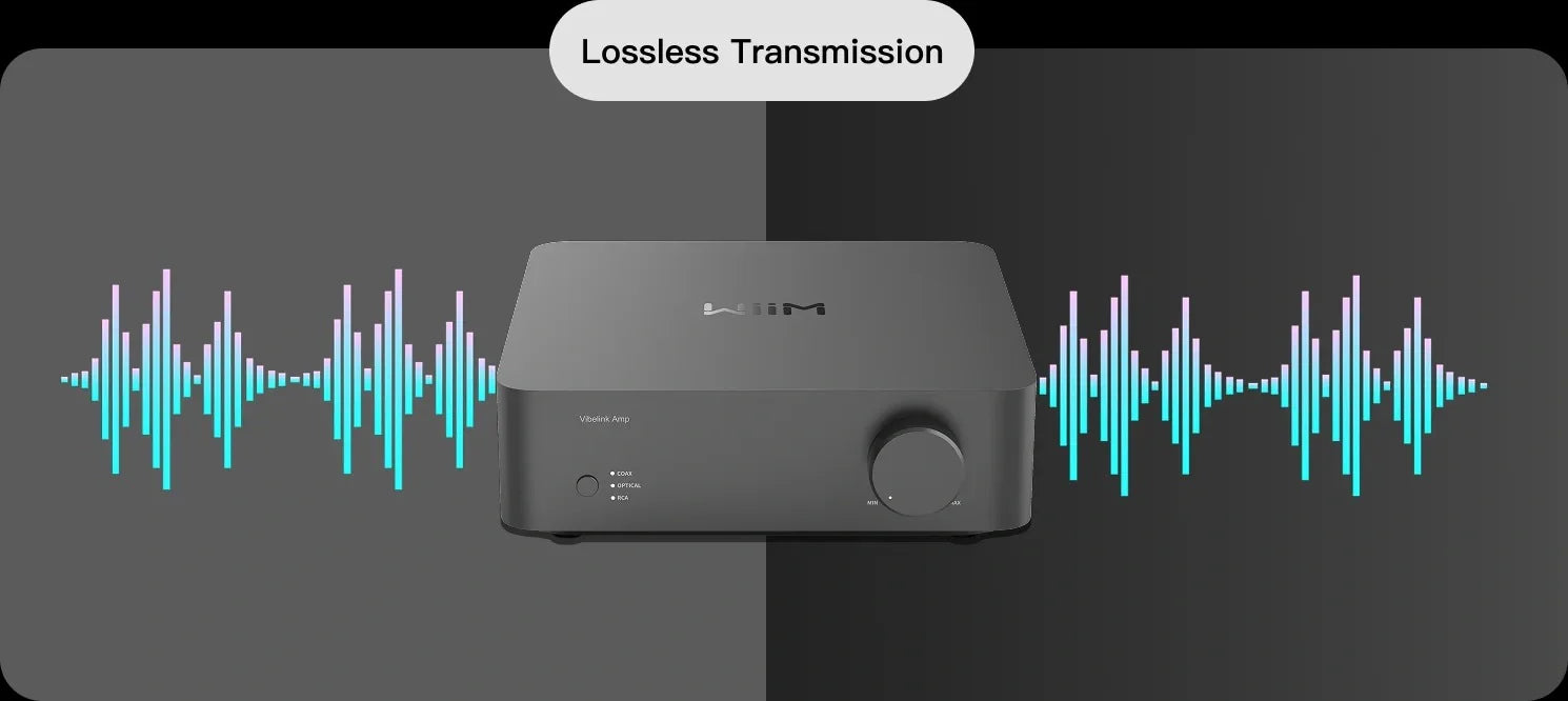 The Desktop Audio Jungle: How to Build a High-End, Zero-Noise Setup | Hi-Fi Upgrade & Optimization Guide #6