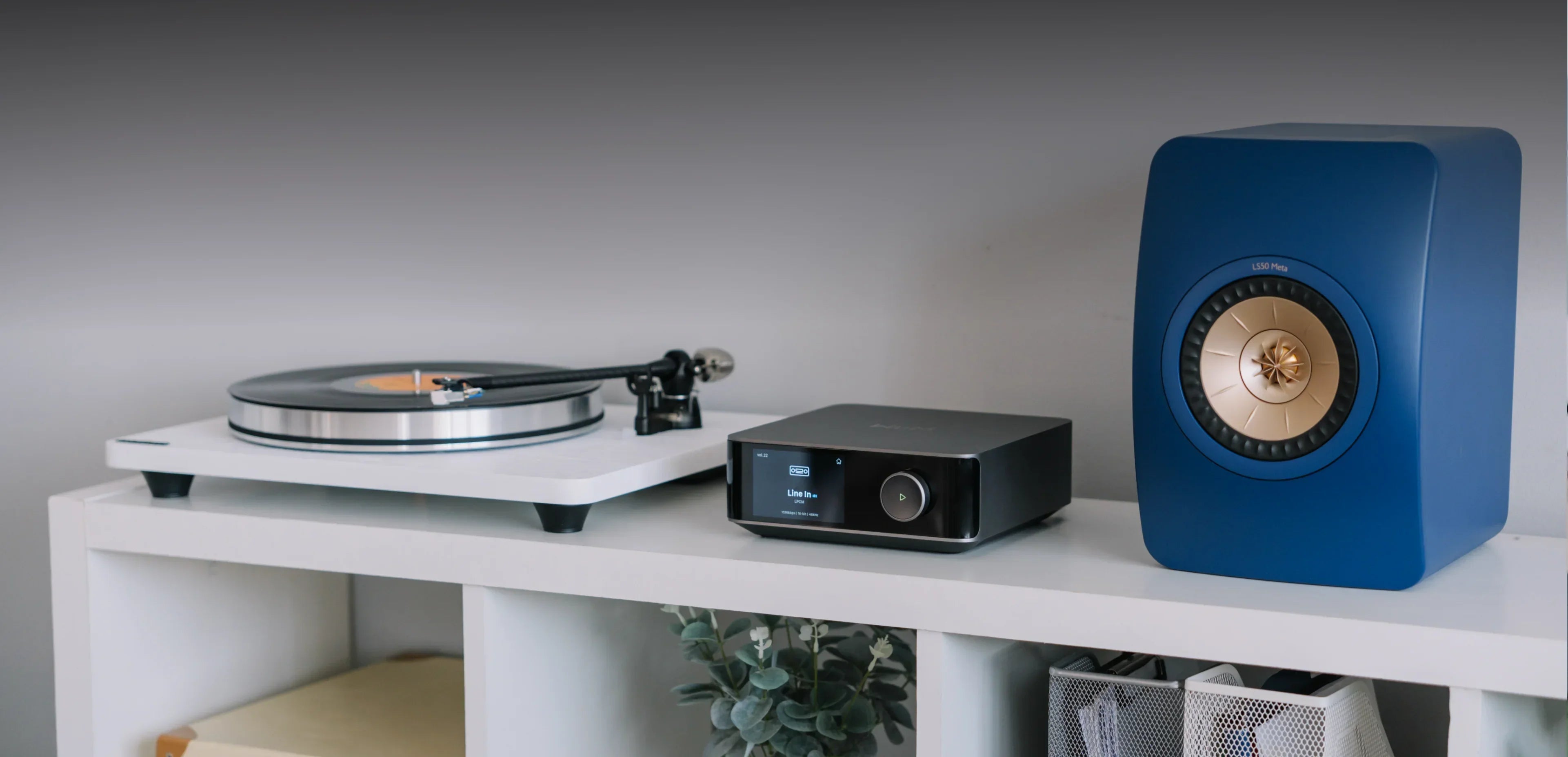 WiiM Amp Pro vs WiiM Amp Ultra: Which Streaming Amp Fits Your System?