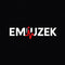 EMiUZEK Wireless Audio Receivers & Amplifiers: Elevate Your Home Sound Experience