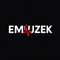 EMiUZEK Wireless Audio Receivers & Amplifiers: Elevate Your Home Sound Experience