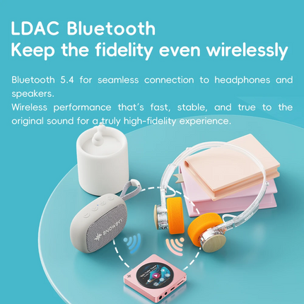 FiiO SNOWSKY DISC