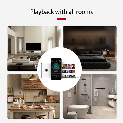 HiFiMuse R20 Wireless Bluetooth Audio Receiver