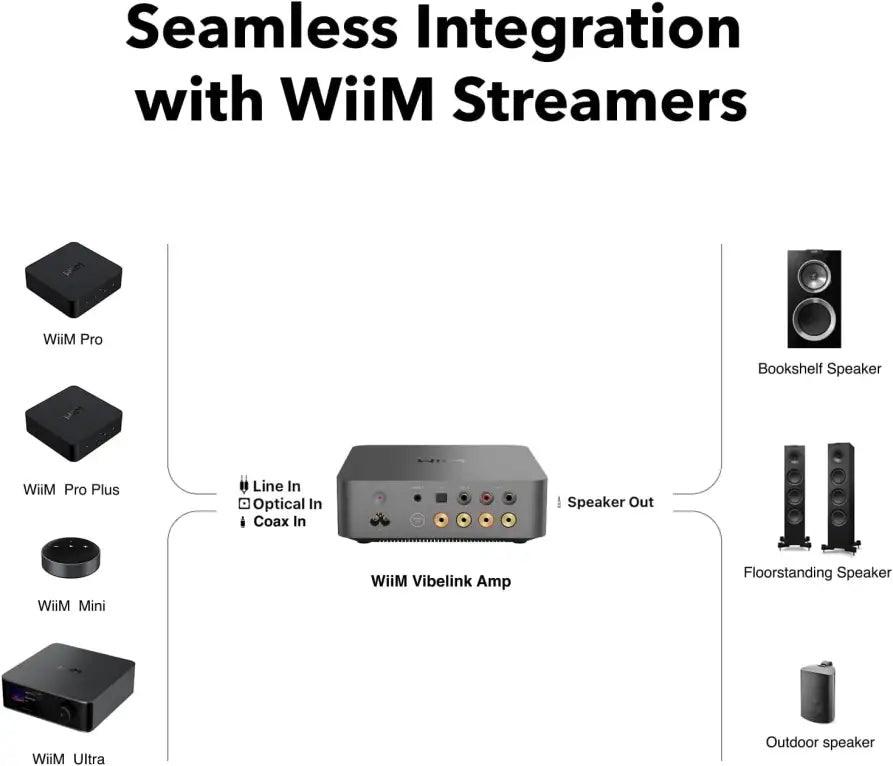 WiiM Vibelink Amp 100W Power Amplifier
