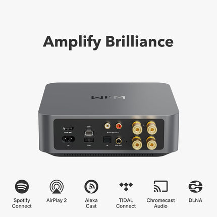 WiiM Amp & WiiM Amp Pro – Hi-Fi Streaming Amplifiers with AirPlay 2