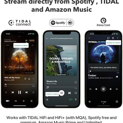 WiiM Pro Plus – High-Resolution Wireless Audio Streamer with AirPlay 2