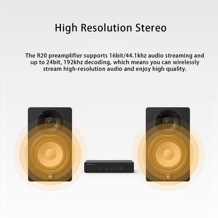 HiFiMuse R20 Wireless Bluetooth Audio Receiver