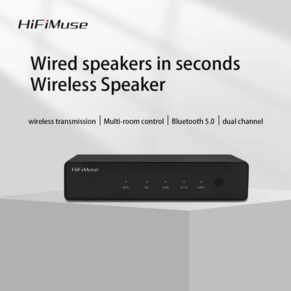 Transmissor de música Wi-Fi HiFiMuse R20