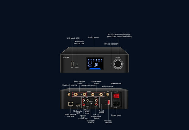 AMP600 back interface diagram