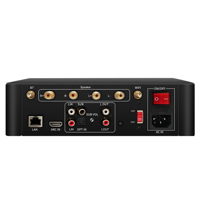 AMP600   back interface diagram