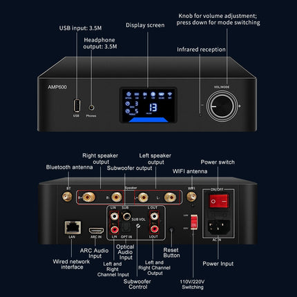 AMP600   back interface diagram