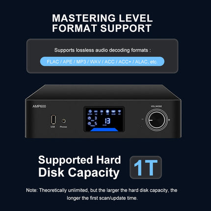 mastering level format support