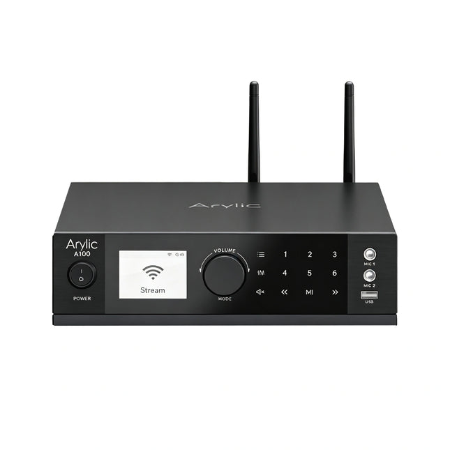 Arylic A100