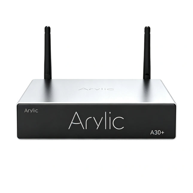 Arylic A30+