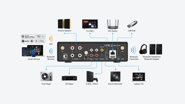 back interface diagram
