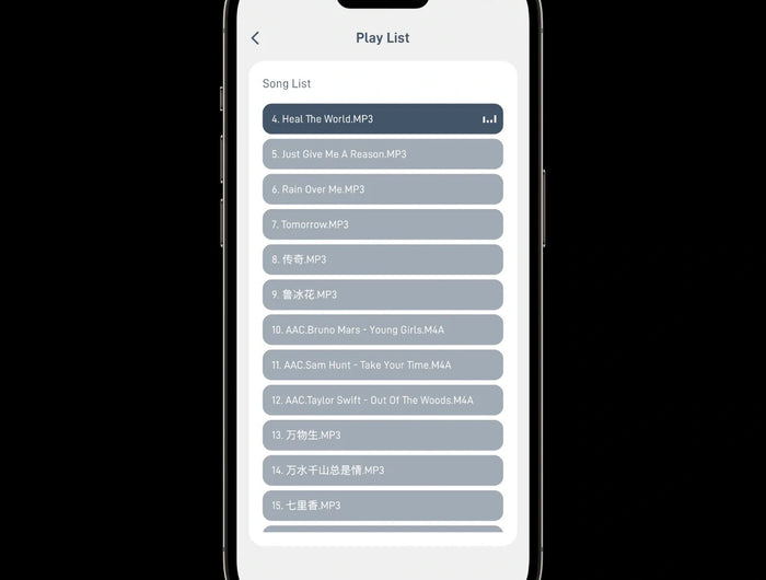 <h2><strong>Play Your Favorite Playlist</strong></h2><p>GO CONTROL APP support browse and play the songs in your USB flash drive.</p>