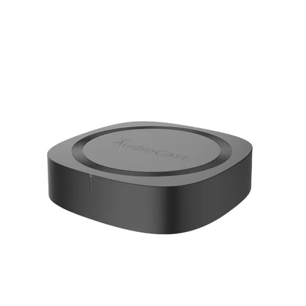 AudioCast Pro M20