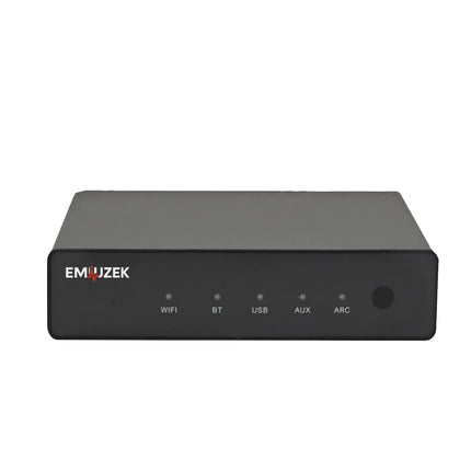 EMiUZEK R20 network audio streamer