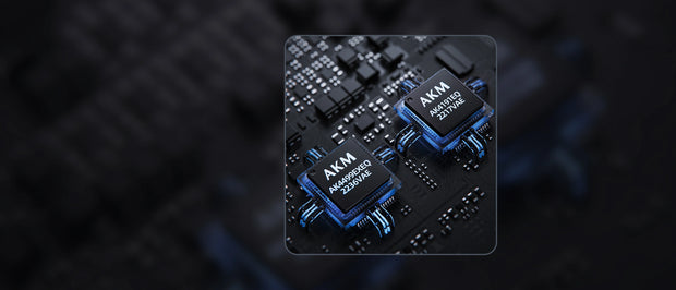 Banner image for: <h1>AKM flagship DAC combo</h1><h1>AK4191EQ AK4499EX<br/><br/><br/></h1>