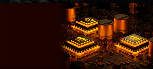 Banner image for: <h2>AKM flagship DAC<br/>AK4191+AK4499EX*2</h2>