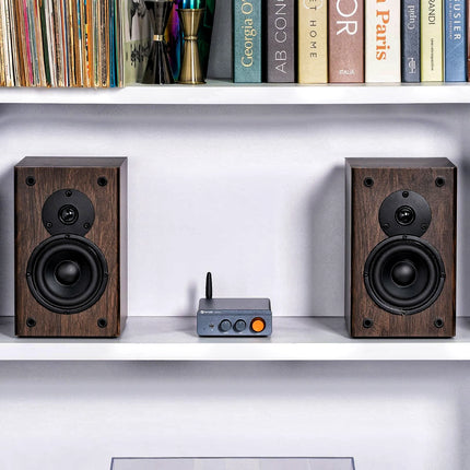 Fosi Audio BT20A PRO  Bluetooth Stereo Power Amp