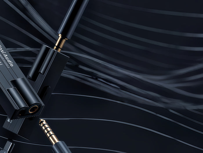 <p>Balanced, Warm, and Natural Sound</p><h1>Fosi Audio DS1 DAC Headphone Amplifier</h1>