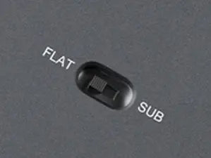 <strong>SUB/CEN Channel Mode Switch</strong>