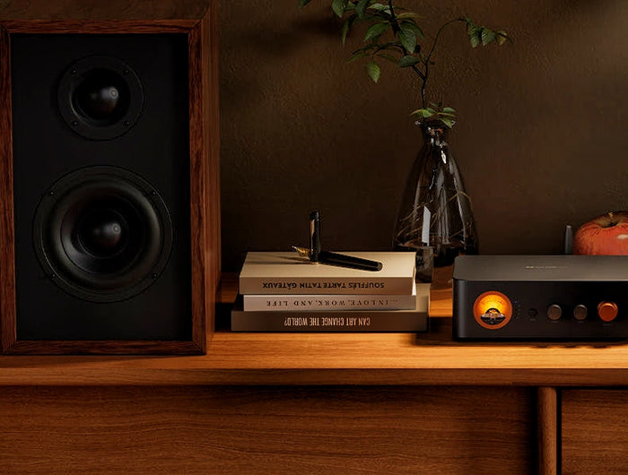 <p>Tribute to Classics</p><h1>MC351 2.1 Channel Integrated Amplifier with VU Meter</h1>