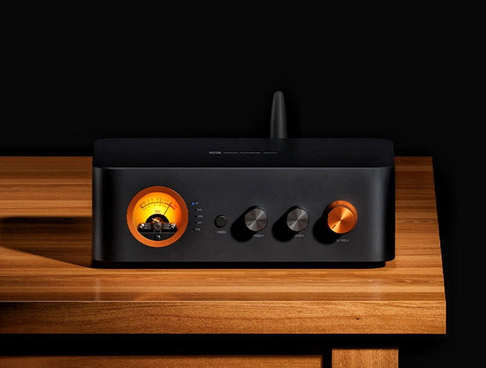 <h1><strong>All-in-OneMultifunctionalDACAmplifier</strong></h1>