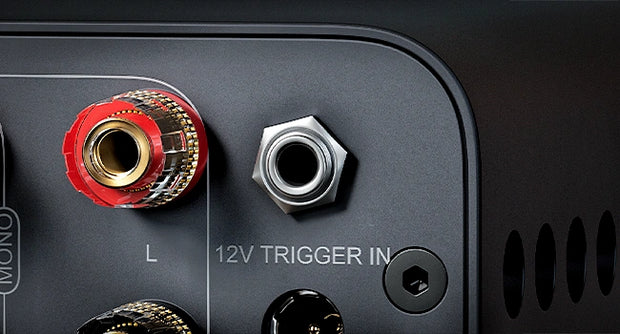 <strong>12V Trigger Sync Interface</strong>