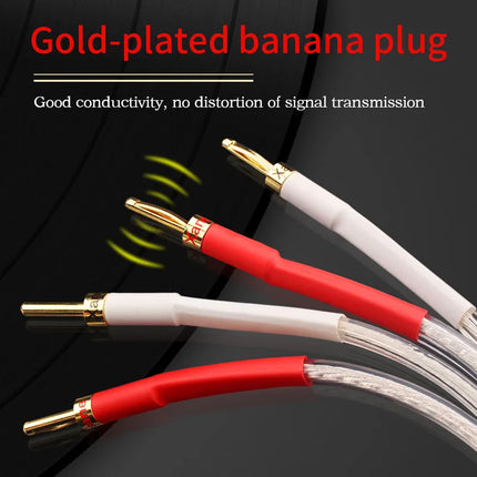 Xangsane SP-8525 Silver-Plated OFC Speaker Cable