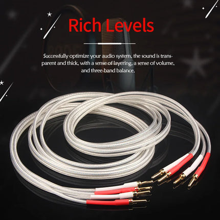 Xangsane SP-8525 Silver-Plated OFC Speaker Cable