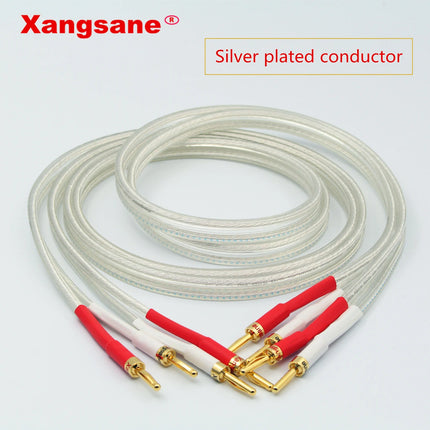 Xangsane SP-8525 Silver-Plated OFC Speaker Cable