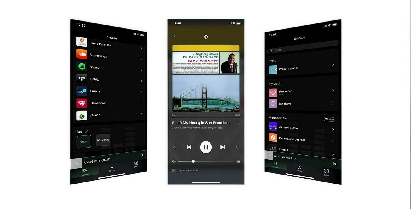 <h1><strong>Audiocast APP control</strong></h1>