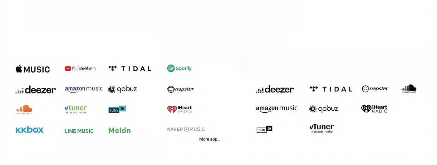 <h1><strong>Enjoy tons of music</strong></h1>