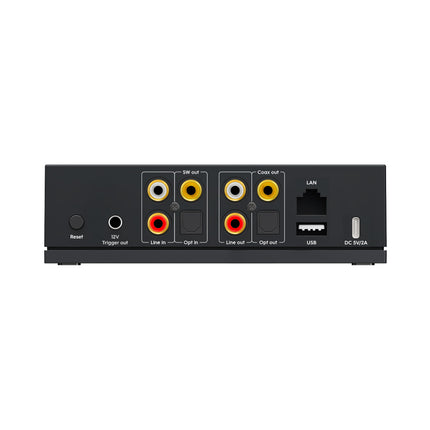 Arylic LP20 Wireless Network Audio Streamer Roon Ready Multi-Room Streaming Player