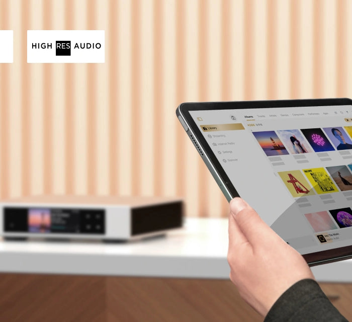 <h2>Online Streaming</h2>