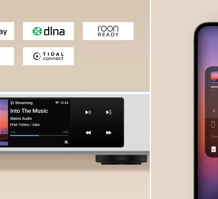 <h2>Local Network Streaming</h2>