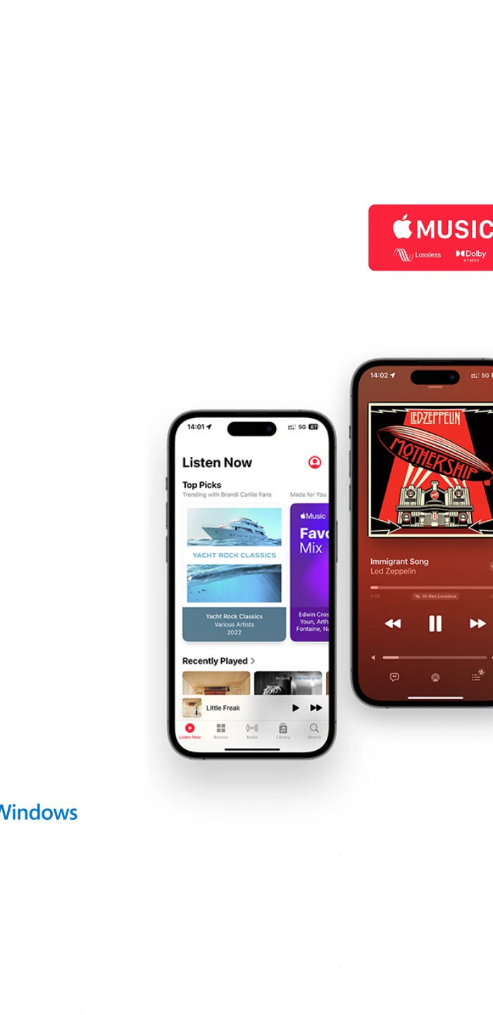 <h2>Full Compatibility for True Lossless Enjoyment</h2>