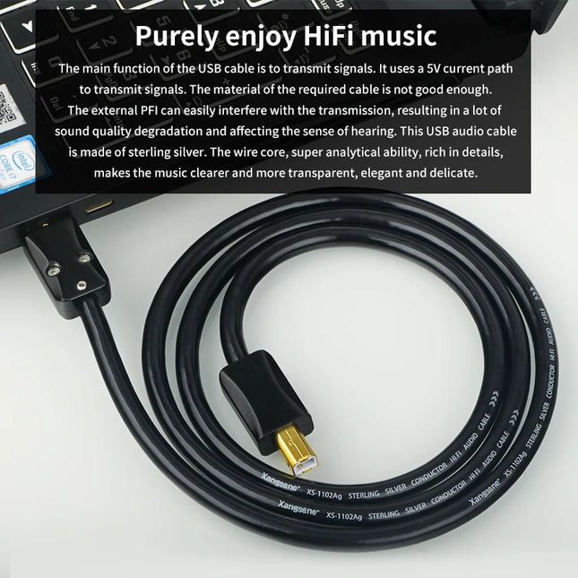 Xangsane XS-1102Ag 4N Silver USB-A Audio Cable – A-to-A/A-to-B