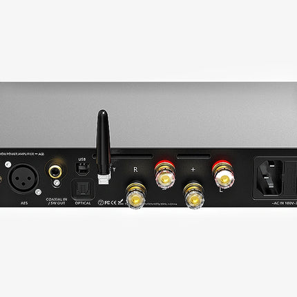 SMSL VMV A2 High-end stereo digital amplifier