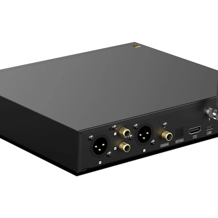 SMSL DL300 AK4499EX chip audio DAC