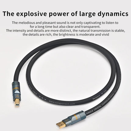 Xangsane 3300 6N OCC USB-A Audio Cable – A-to-A/A-to-B