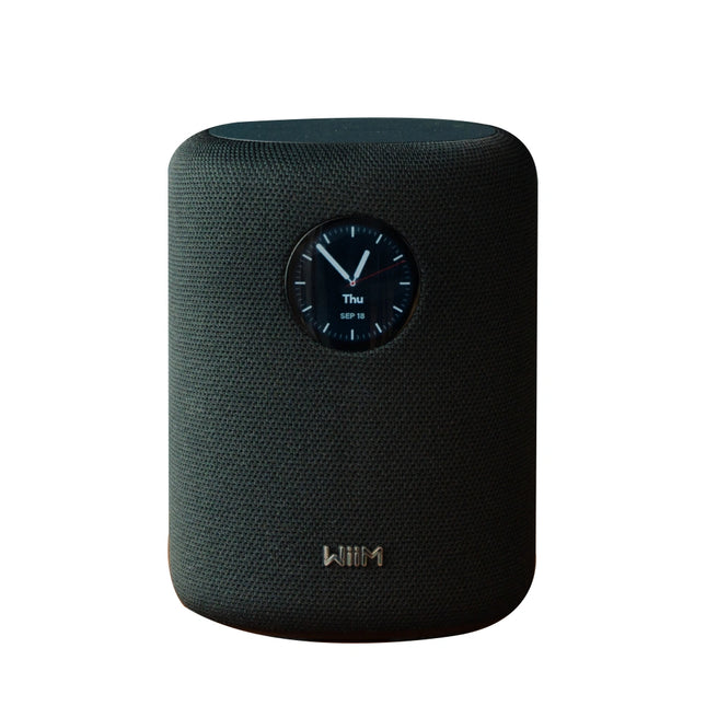 WiiM Sound Smart Wireless Speaker in Black/White showing album art on the circular touch screen.