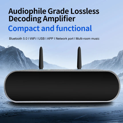 Audiophile Grade Lossless Decoding Amplifier