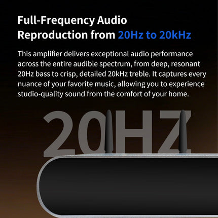 Full-Frequency Audio Reproduction from 20Hz to 20kHz